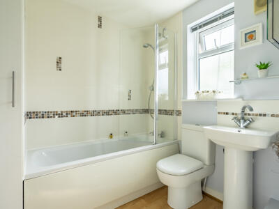 Picture 11